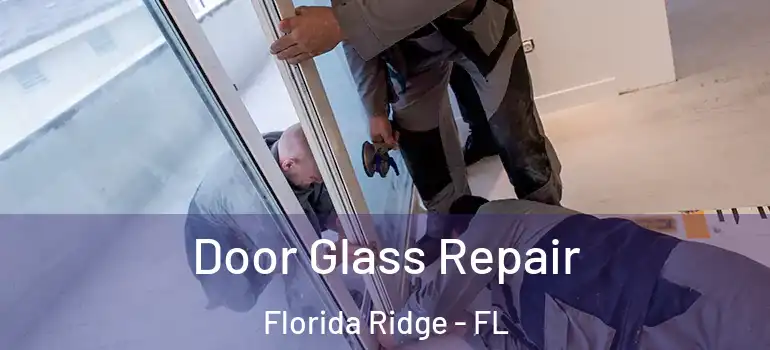 Door Glass Repair Florida Ridge - FL