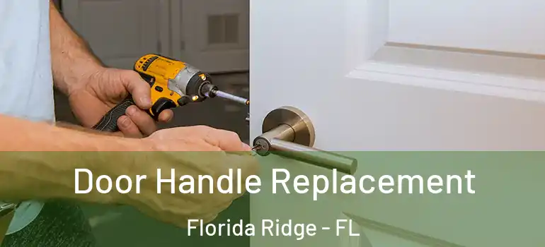 Door Handle Replacement Florida Ridge - FL
