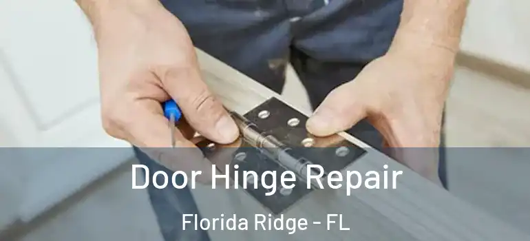Door Hinge Repair Florida Ridge - FL