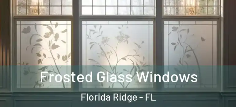 Frosted Glass Windows Florida Ridge - FL