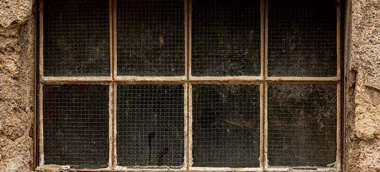 Traditional Double Front Doors in Florida Ridge, FL