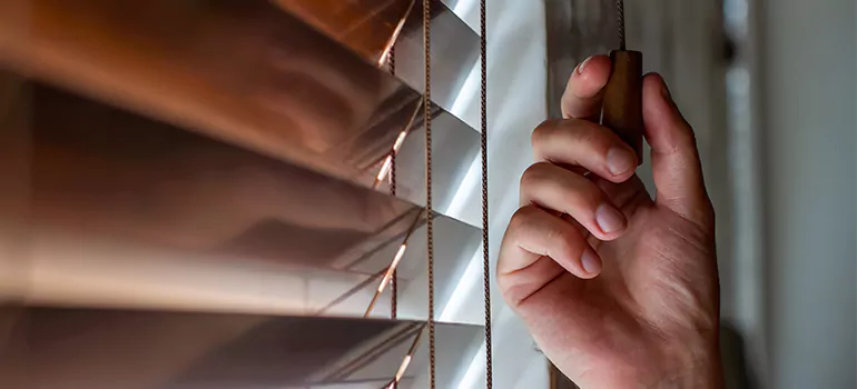 Double Roller Blinds in Florida Ridge, FL