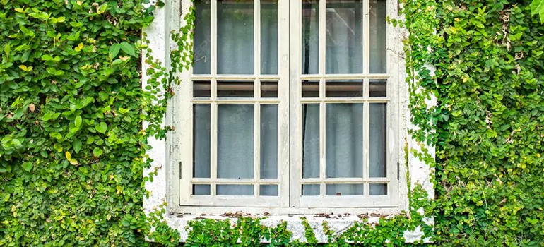 Garden Window Repair Near Me in Florida Ridge, FL