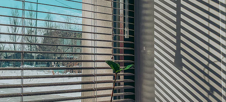 Commercial Window Blinds in Florida Ridge, FL