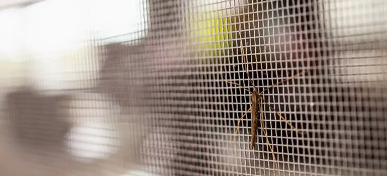 Repair Mosquito Mesh For Windows in Florida Ridge, FL