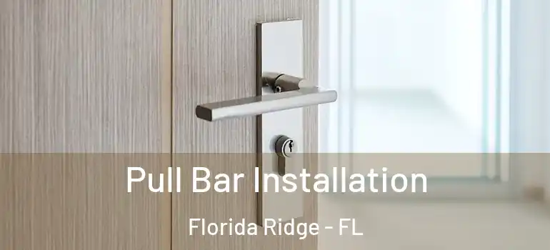 Pull Bar Installation Florida Ridge - FL
