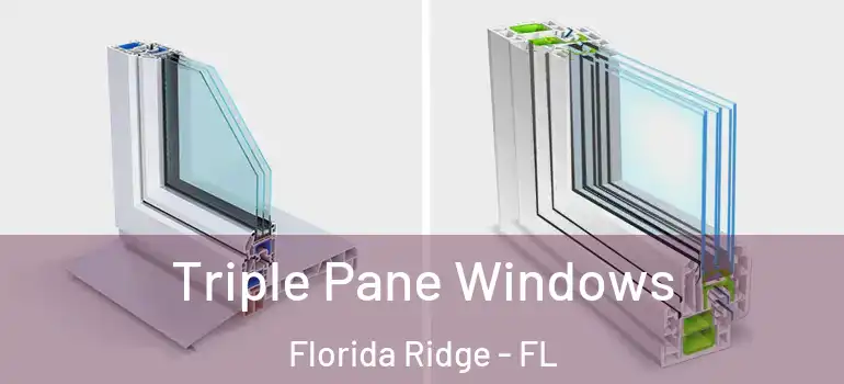 Triple Pane Windows Florida Ridge - FL