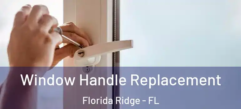 Window Handle Replacement Florida Ridge - FL
