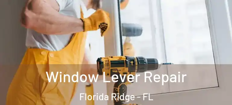 Window Lever Repair Florida Ridge - FL