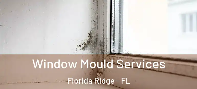 Window Mould Services Florida Ridge - FL